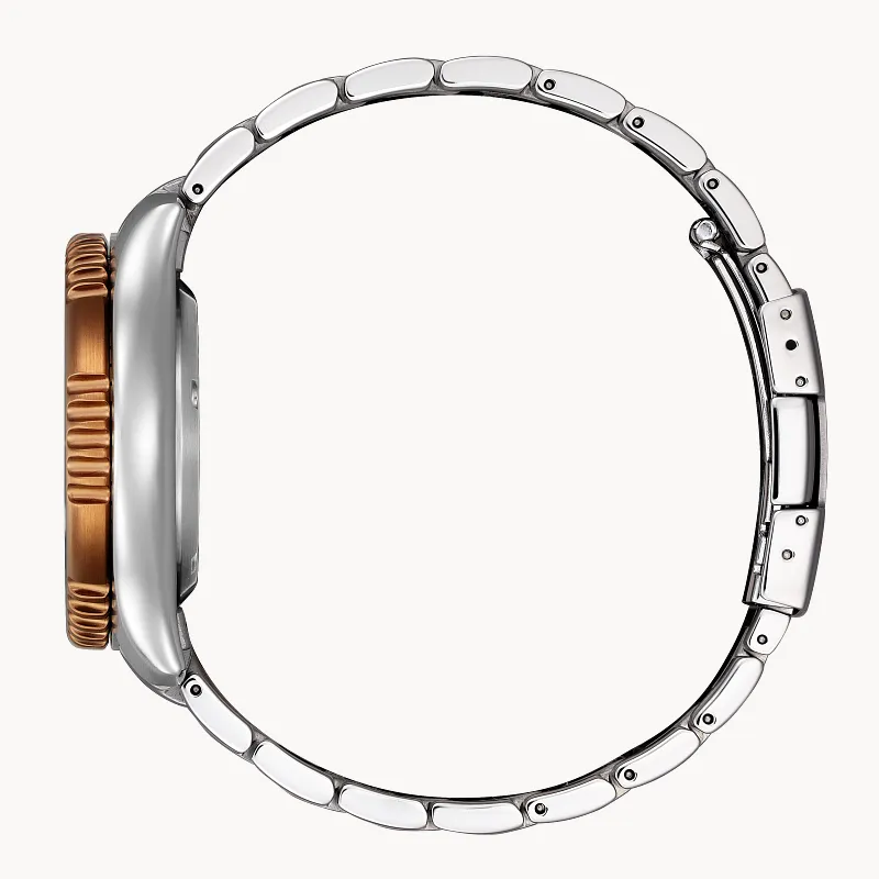 Promaster Dive Automatic Brown Dial Stainless Steel Bracelet Promaster Dive Automatic Brown Dial Stainless Steel Bracelet